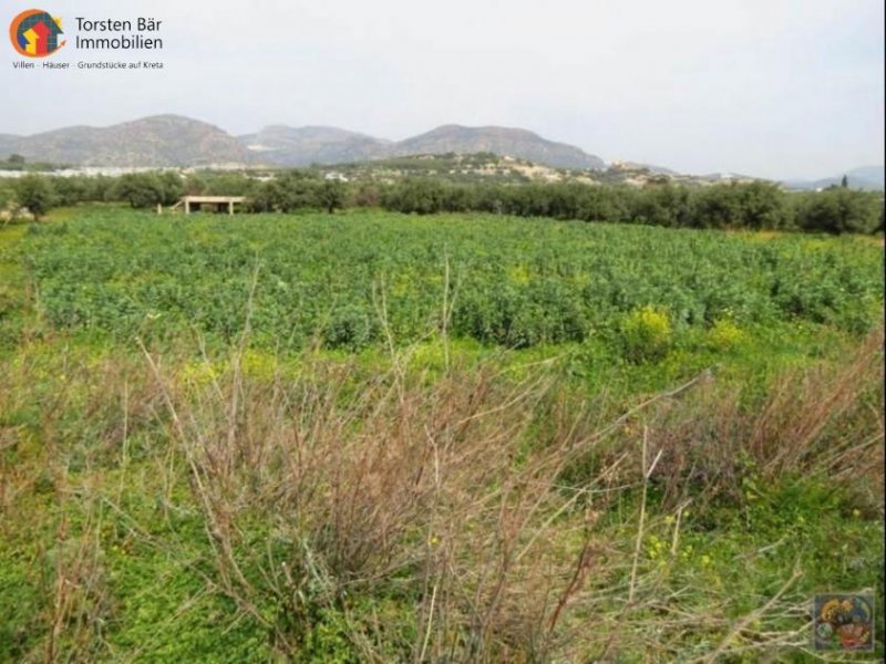 Makrigialos, Kreta, Makrigialos, Wunderschönes Grundstück mit Meerblick Grundstück kaufen